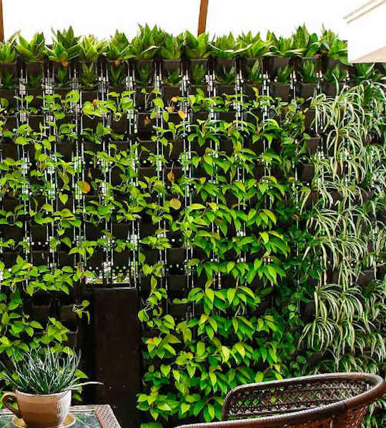 Vertical Garden