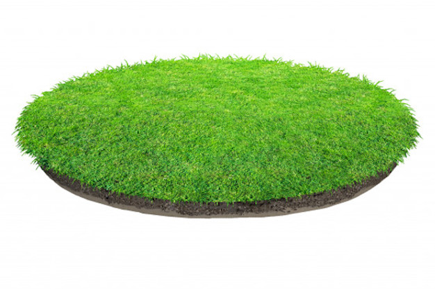 Artificial Grass