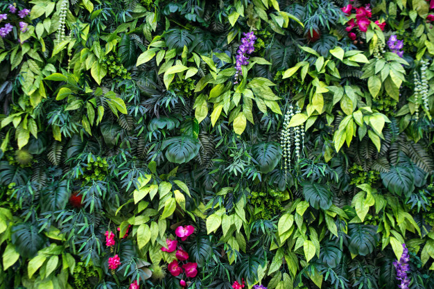 Vertical Garden