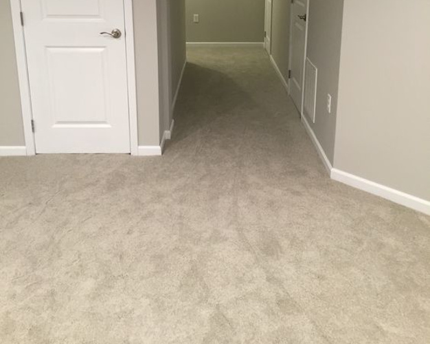 Wall-to-Wall Carpet